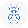 Ant Removals In Pevensey