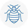Bed Bug Extermination In Pevensey