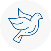 Bird Prevention Pevensey