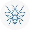Pevensey Hornet Nest Removals