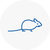 Mice Exterminators In Pevensey