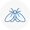 Moth Control Specialists In Pevensey