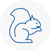 Pevensey Rodent Removals